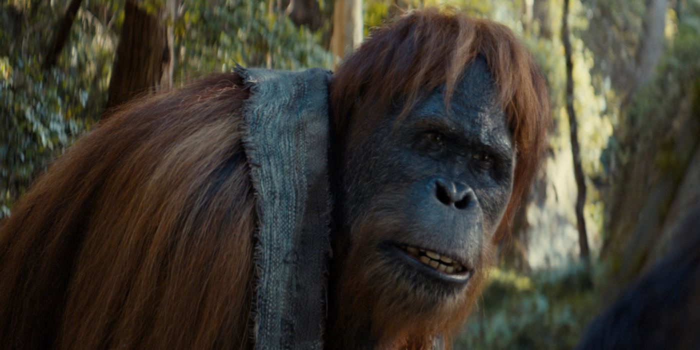 Mae Isn't a Hero in 'Kingdom of the Planet of the Apes,' and That's a Good  Thing