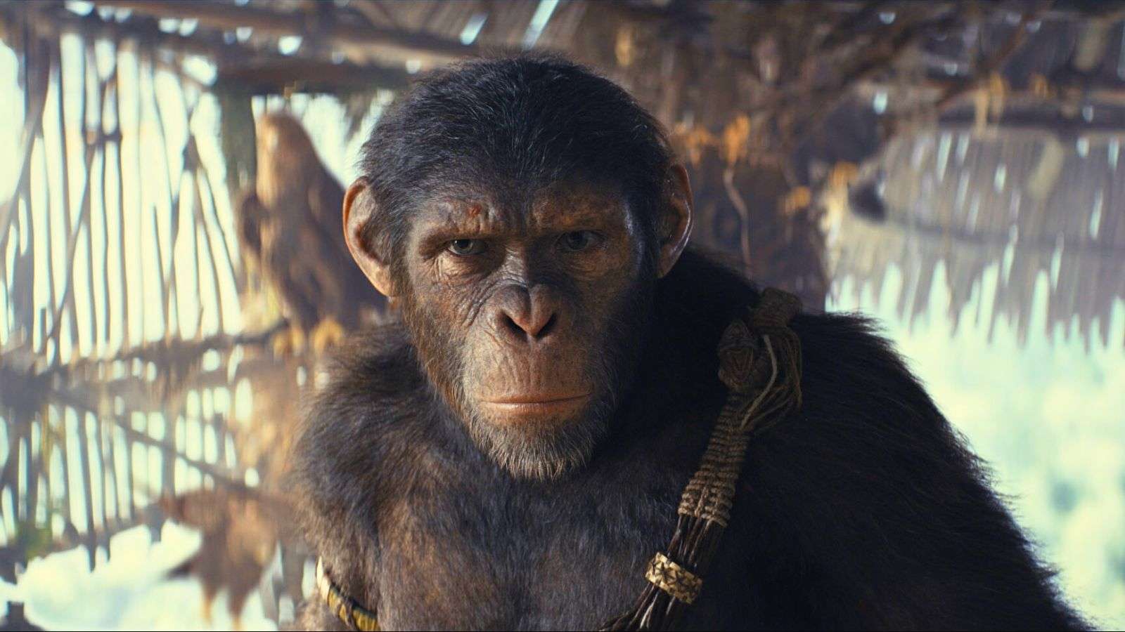 Planet of the Apes: Is Noa related to Caesar? - Dexerto